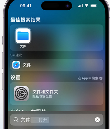 乳源apple维修中心分享iPhone文件应用中存储和找到下载文件 