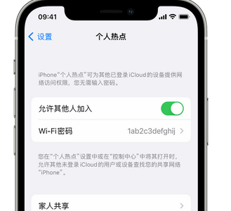 乳源apple服务站点分享iPhone上个人热点丢失了怎么办