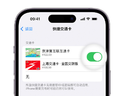 乳源apple维修点分享iPhone上更换Apple Pay快捷交通卡手绘卡面 