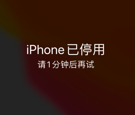 乳源苹果手机维修分享:iPhone 显示“不可用”或“已停用”怎么办？还能保留数据吗？ 