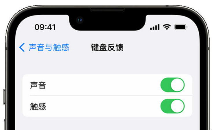 乳源苹果手机维修分享iPhone 14触感键盘使用方法 