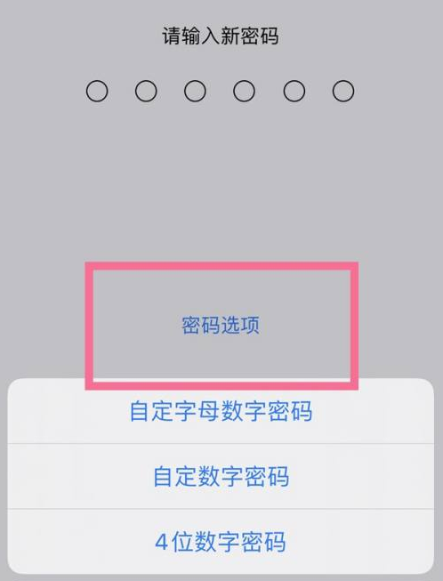 乳源苹果14维修分享iPhone 14plus设置密码的方法 