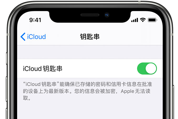 乳源苹果手机维修分享在 iPhone 上开启 iCloud 钥匙串之后会储存哪些信息 