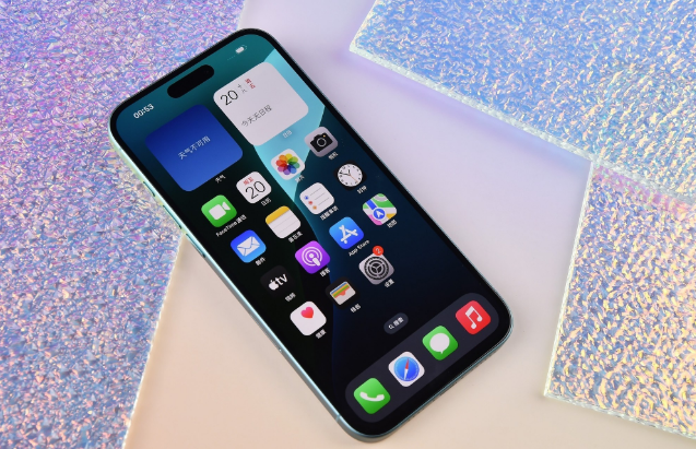 乳源苹果手机维修分享为什么大家不喜欢苹果iPhone 16 Plus 